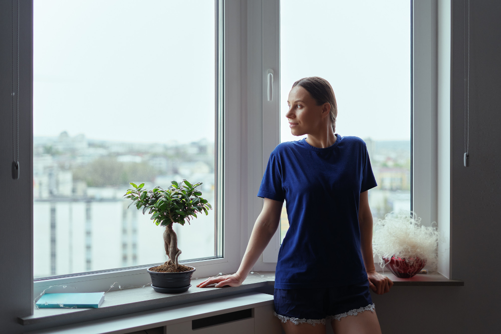 Seattle Window Styles